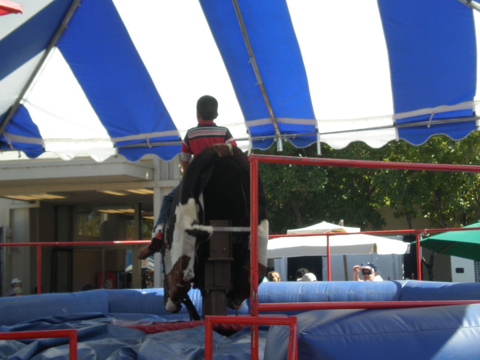 Mechanical Bull